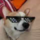Корги Фокс Малдер Corgi Fox Mulder