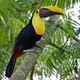 Costa-Rica 🇨🇷 Expats
