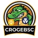 CrogeBSC Coin Presale Live Official