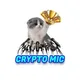 Crypto Mic