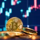 CRYPTO TRADING SIGNALS GROUP
