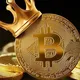 Om traders (Free crypto and forex trades)