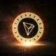 crypto currency support _fa