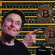 Crypto Facts