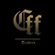 Crypto Forex Falcone