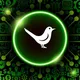 Crypto//Green