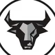 Black Bull Capital®