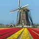 Crypto Holland