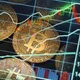 Crypto Investing Ideas News