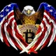 Bitcoin USA Earnings