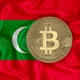 Crypto & trust wallet maldives