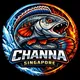 Channa Singapore