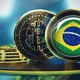 INVESTIMENTO NINHO DE OURO BITCOIN