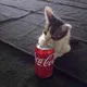 Куско!