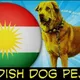 عيشقبازاني سه گي بشده ري كوردوستان 🐕