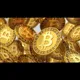 BITCOIN TRADE INVESTMENT COMPANY
