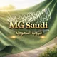 مُلاك ام جي | MG