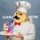 شیبا میم | sheba meme