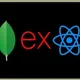 Reactjs Nodejs and Mongodb