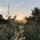🌤 𝐂𝚑𝚊𝚝 𝐂𝚊𝚕𝚒𝚏𝚘𝚛𝚗𝚒𝚊 🌼