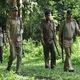 महाराष्ट्र वन विभाग भरती 2026