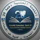 اللجنة العلمية 20 طب أسنان - جامعة الحديدة •|USF🦷