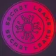 SECRET CRYPTO LEAKS