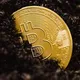 Bitcoin - Brasil - Criptomoedas - Crypto - Cryptomoedas -