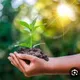 زندگی سبز🌱