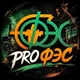 PROФЭС