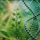 Biologiya_Mingnorov Sherzodjon