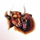 NIFTY AND BANKNIFTY™ CALLS [SEBI REGISTERED]