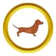 🇸🇽DACHSHUNDAPPNFT_Philippines