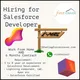 Salesforce Freelance/Contract Paid work