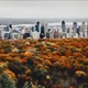 Montréal Daily