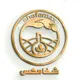 داروشفا طرقبه