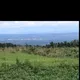 Toril Community
