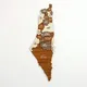 Israel Exposed