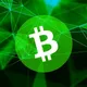 Bitcoin Cash Uruguay