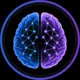 Data Science Brain