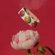 noosa_amsterdam_moscow