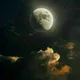 آرشیو هلیماء