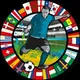 Football investment experience exchange group