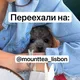 Чайный клуб. Лиссабон.