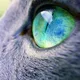 Airdrop & Bounty 40