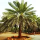قناة الخير