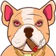 Junkyard Dogs Solana - 10% BUSD Reflections BSC