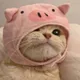 PigCat $PC