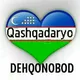 Dehqonobod Toshkent olmaliq Taksilari