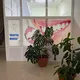 💎СТОМАТОЛОГИЯ “Dental House”💎